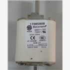 風(fēng)電專用熔斷器170M6810/8636